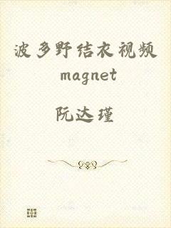 波多野结衣视频 magnet